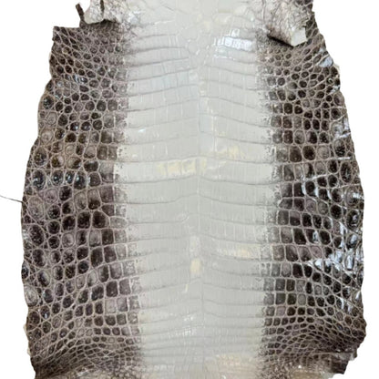 Himalayan Nile Crocodile Glazed Finish