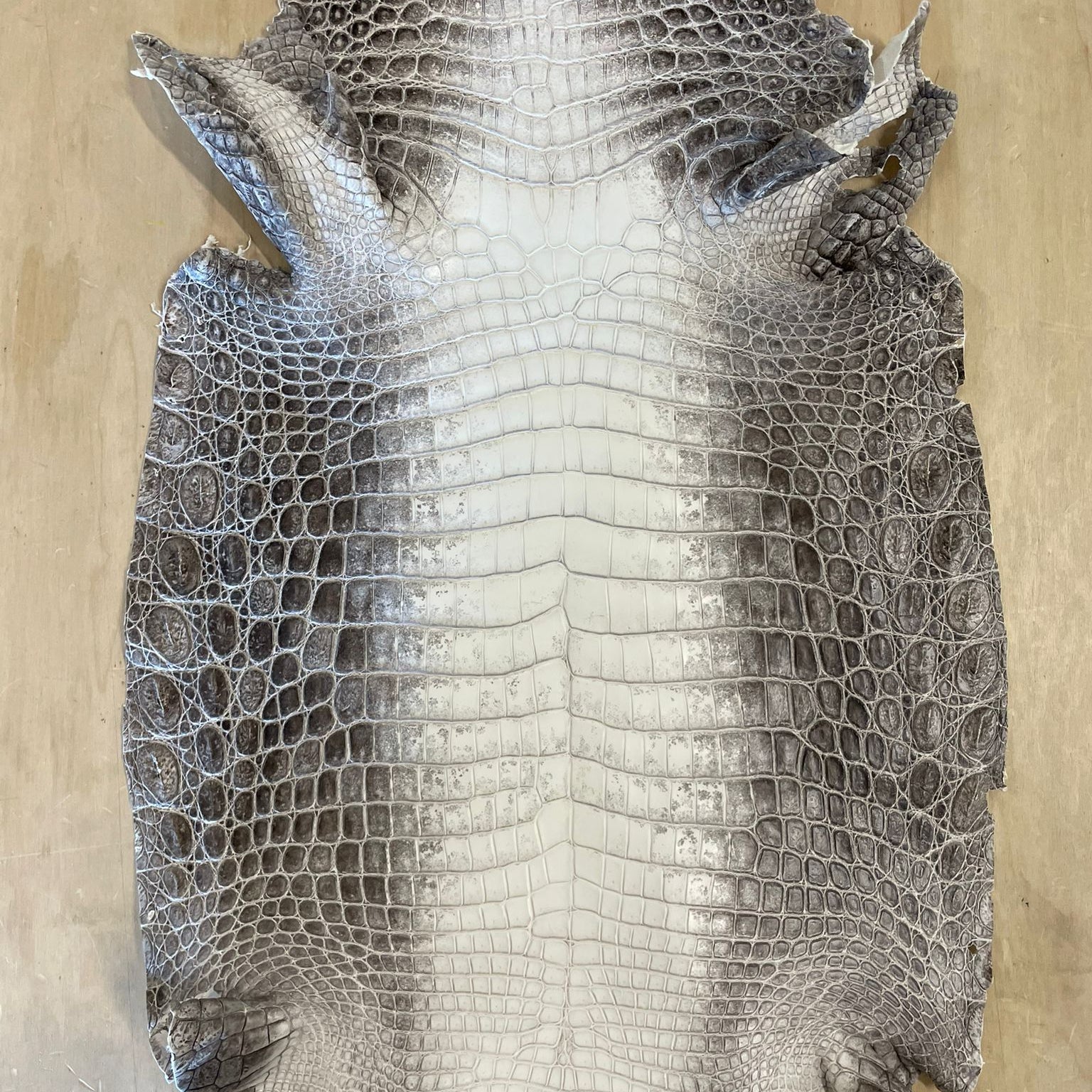 B1G1 Himalaya Crocodile + Ring Lizard Bundle - Sunny Exotic Leathers