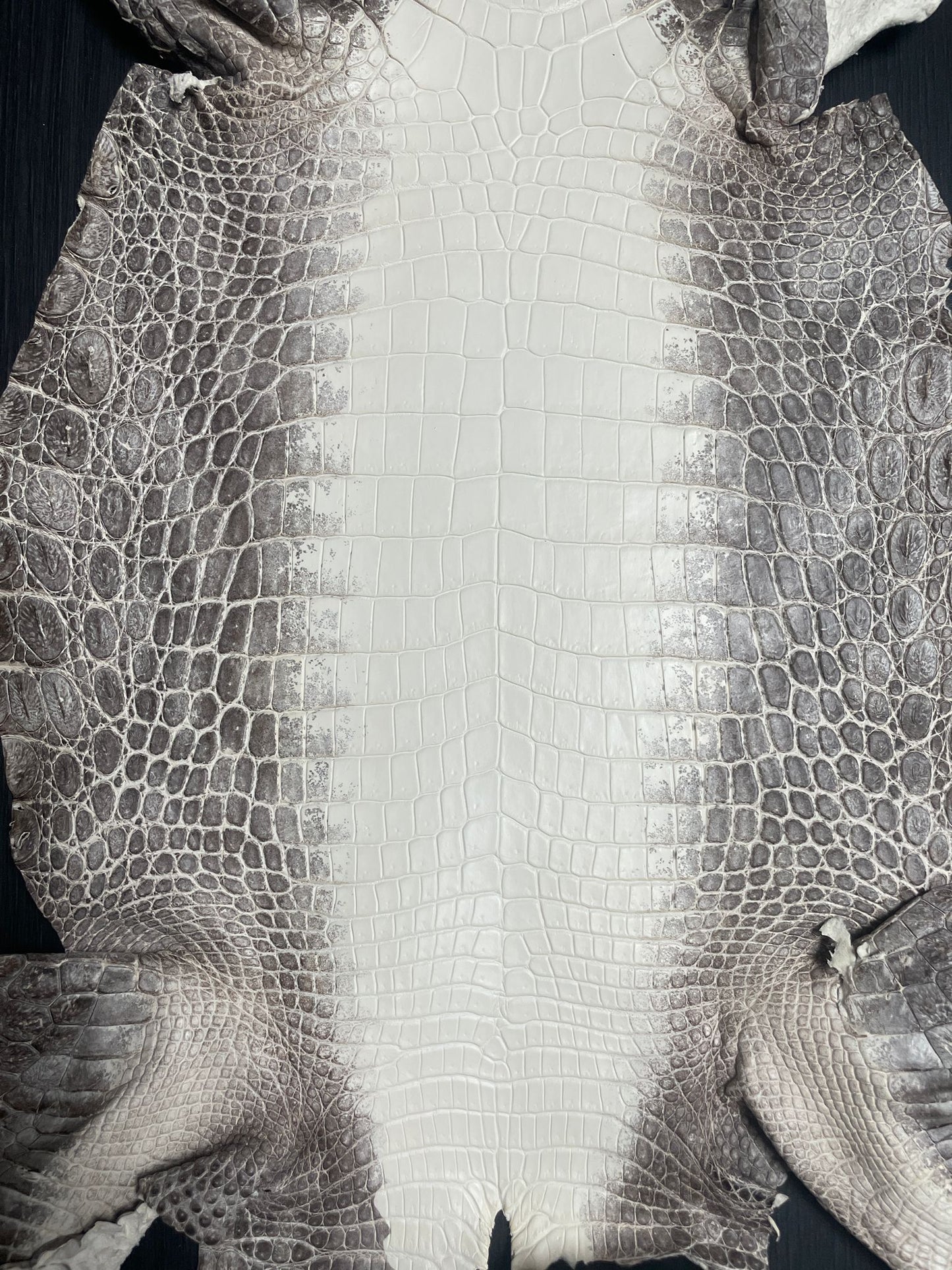 himalayan crocodile leather
