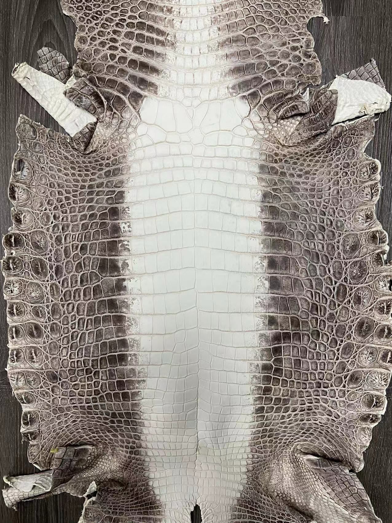 Himalayan Nilo Crocodile Matte Finish (Grade 1) - Sunny Exotic Leathers