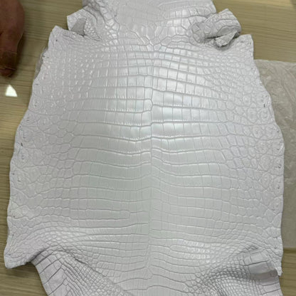 Matte Nile Crocodile