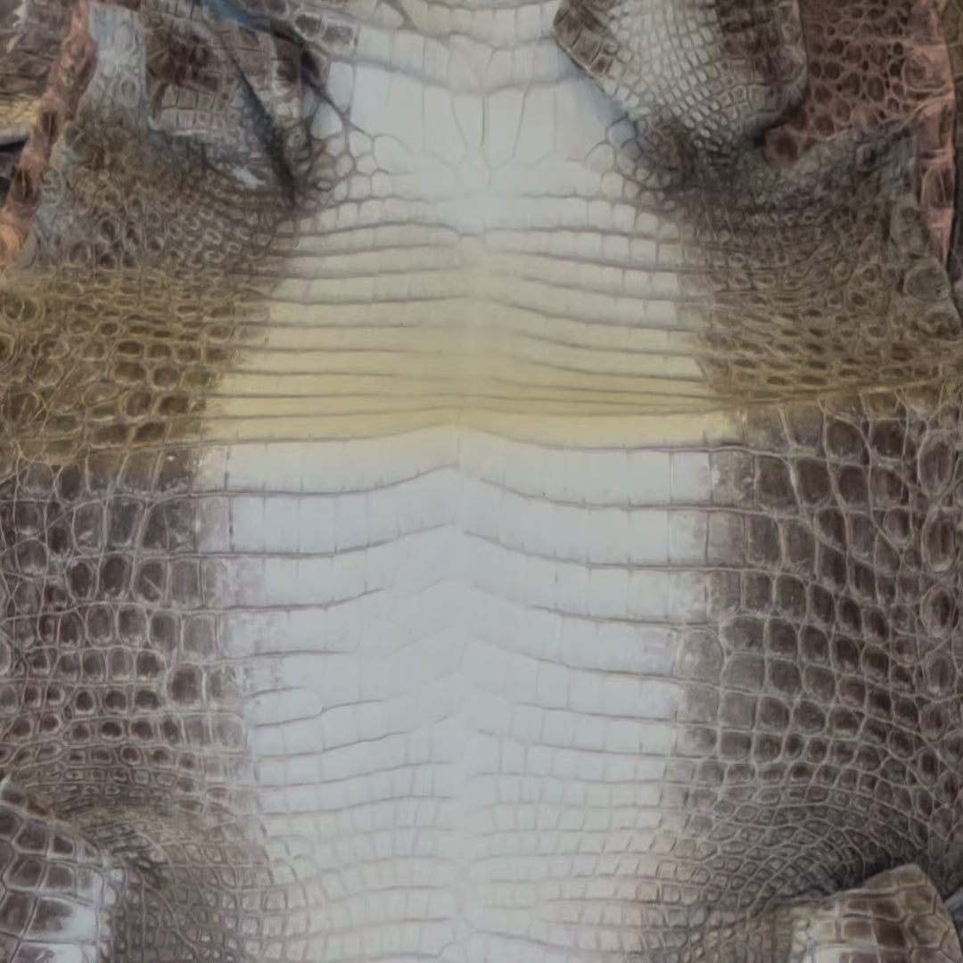 Natural Himalayan Crocodile Skin, Grade 1 Matte | Sunny