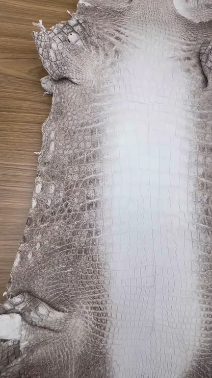 Matte Himalayan Nile Crocodile Skin — Grade 1 | Snowy, Brown & Taupe