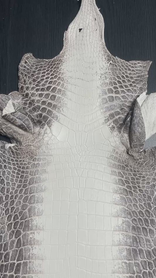 Himalayan Crocodile Skins