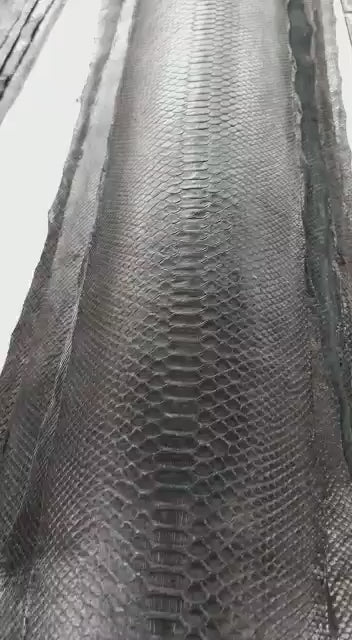 Matte Reticulated Python Skin — Grade 1/2 | Natural & Black