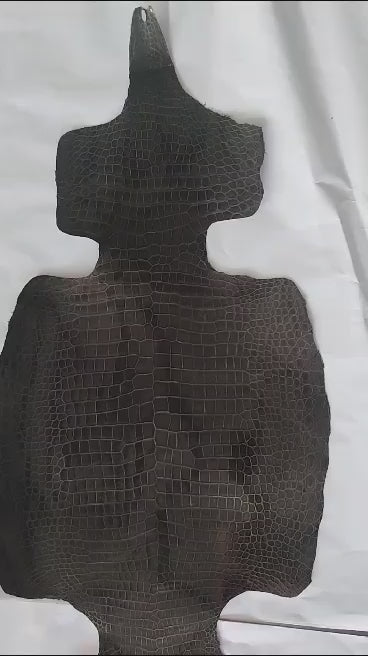 Black Matte American Alligator Skin — Grade 1