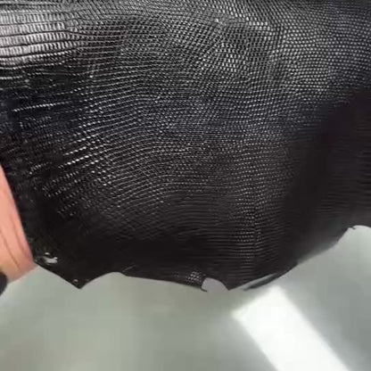 جلد سحلية الحلقة السوداء 