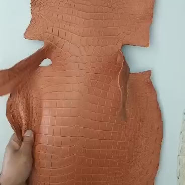 Matte Porosus Croc