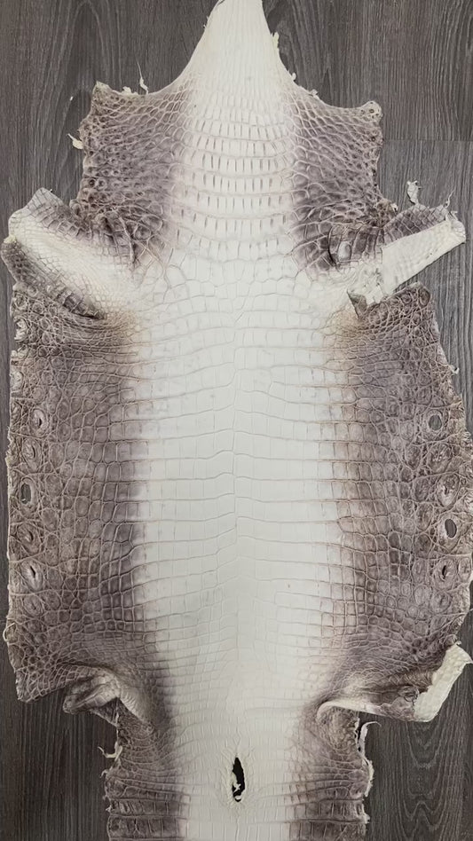 Himalayan Crocodile - Thai Oriental Leather Co.,Ltd