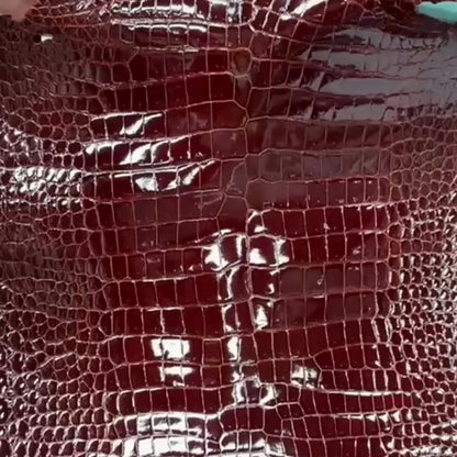 Shiny Glazed Porosus