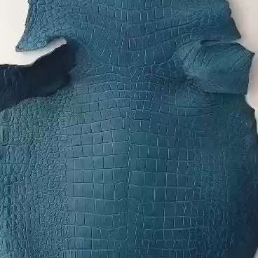 Matte Porosus Croc