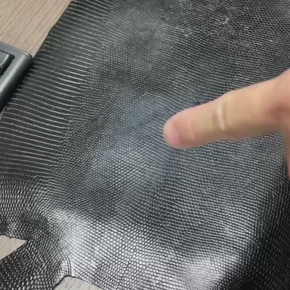 Grade 1 Black Ring Lizard Skin | Genuine Varanus Salvator