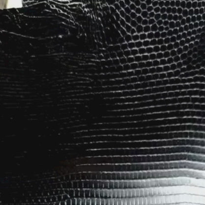 Black Ring Lizards