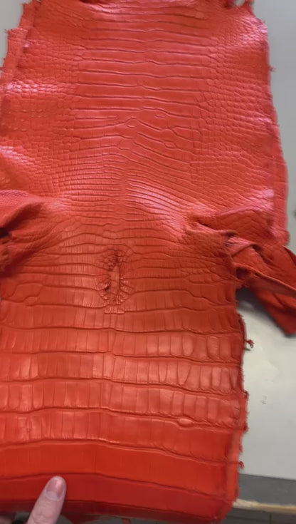 Matte American Alligator Skin Grade 1 | 15 Colors