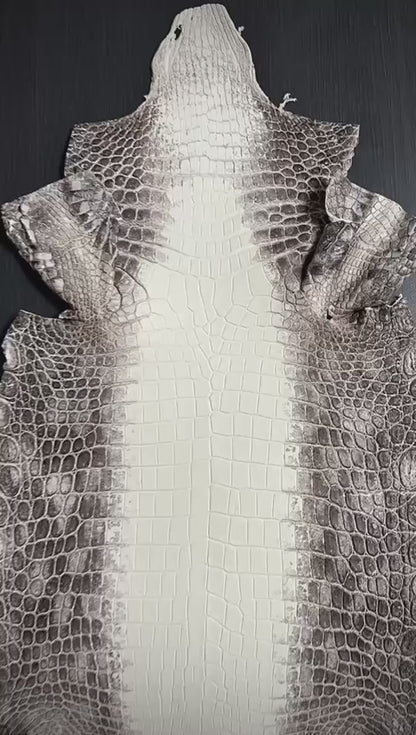Matte Himalayan Nile Crocodile Skin — Grade 1 | Snowy, Brown & Taupe