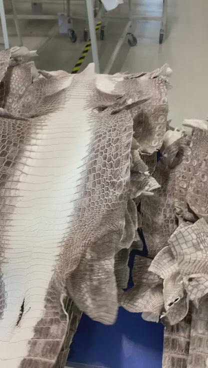 Matte Himalayan Nile Crocodile Skin — Grade 1 | Snowy, Brown & Taupe