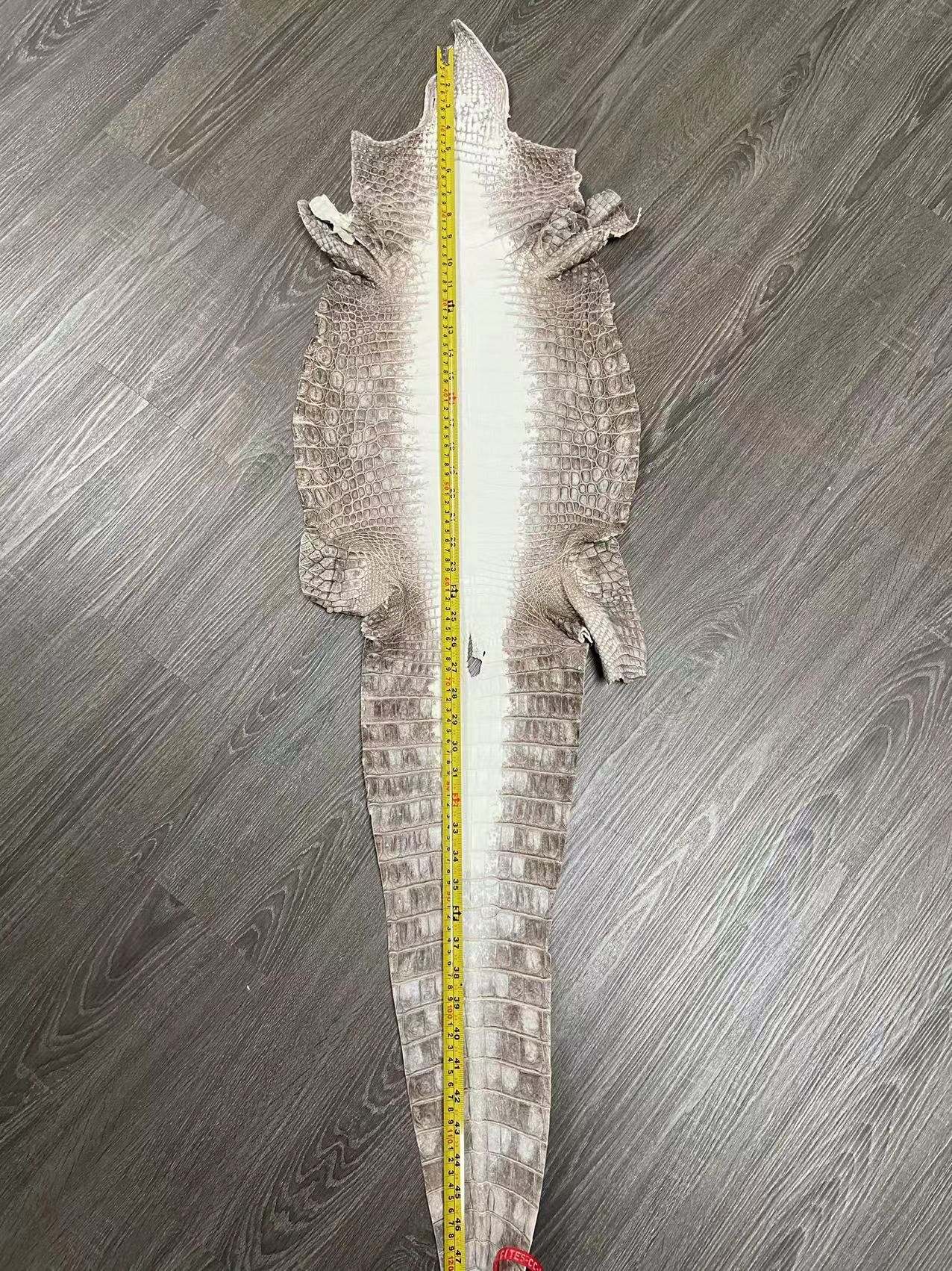 RENNY Crocodile Backpack , Size 21, Matte Himalayan 