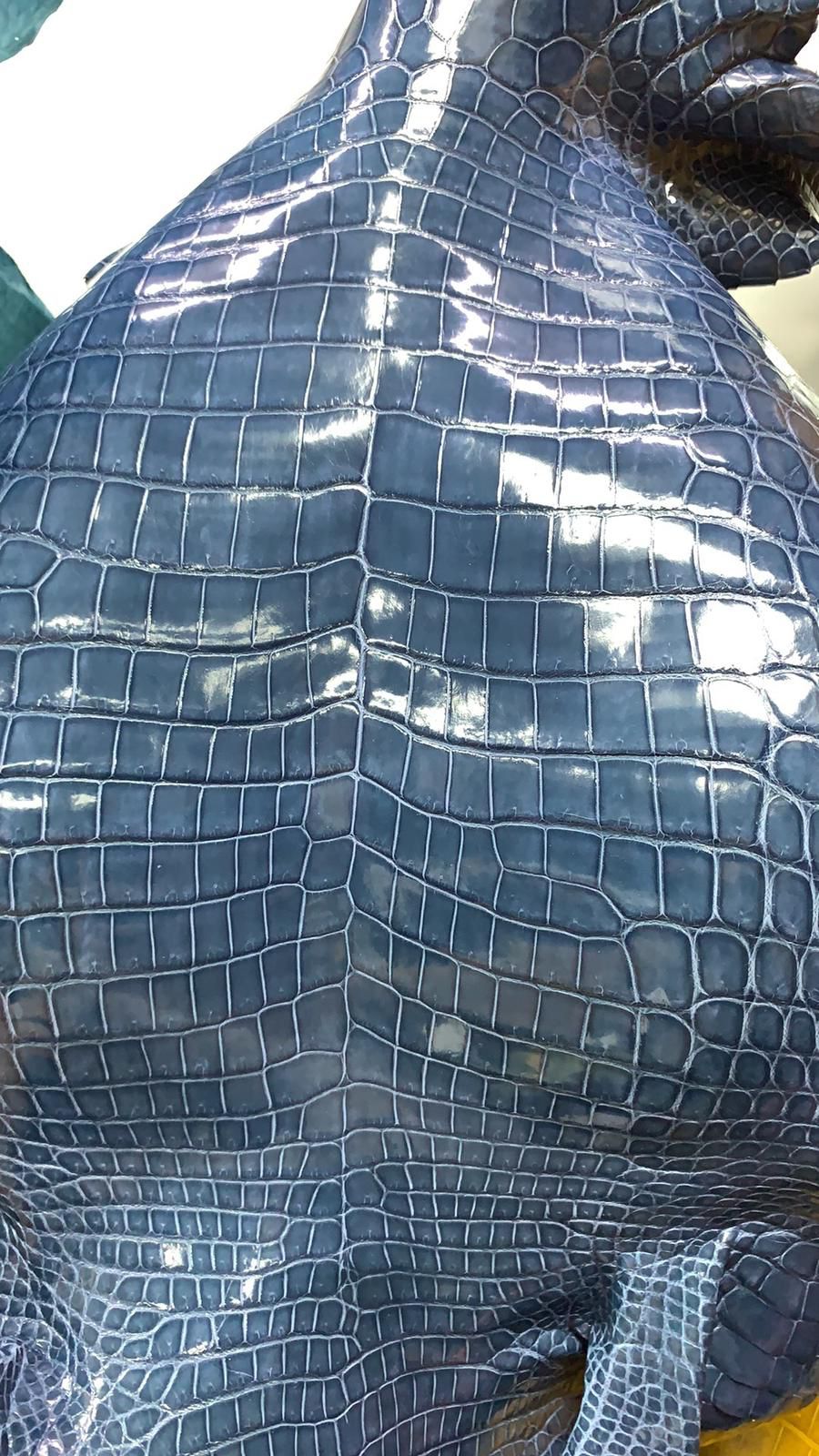Porosus Crocodile Tails - Farm Raised (Top Quality) - Luxury Skins (Glazed  Greens)